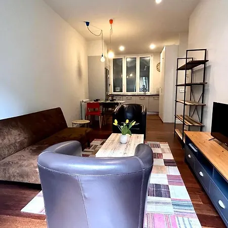 Larramendi Center דירה *