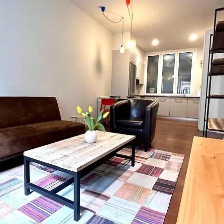 Apartman Larramendi Center